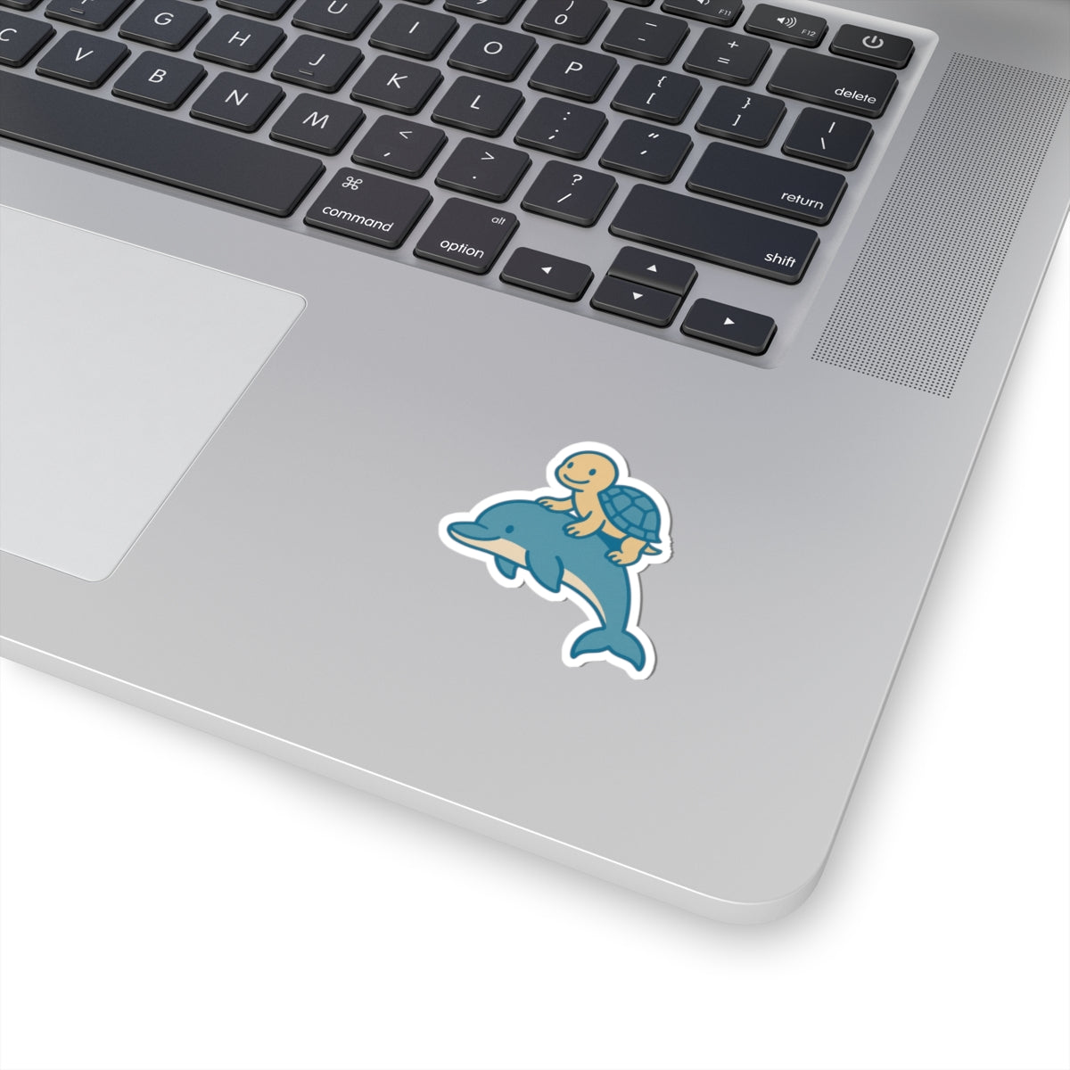 Chill Turtle Riding Dolphin
