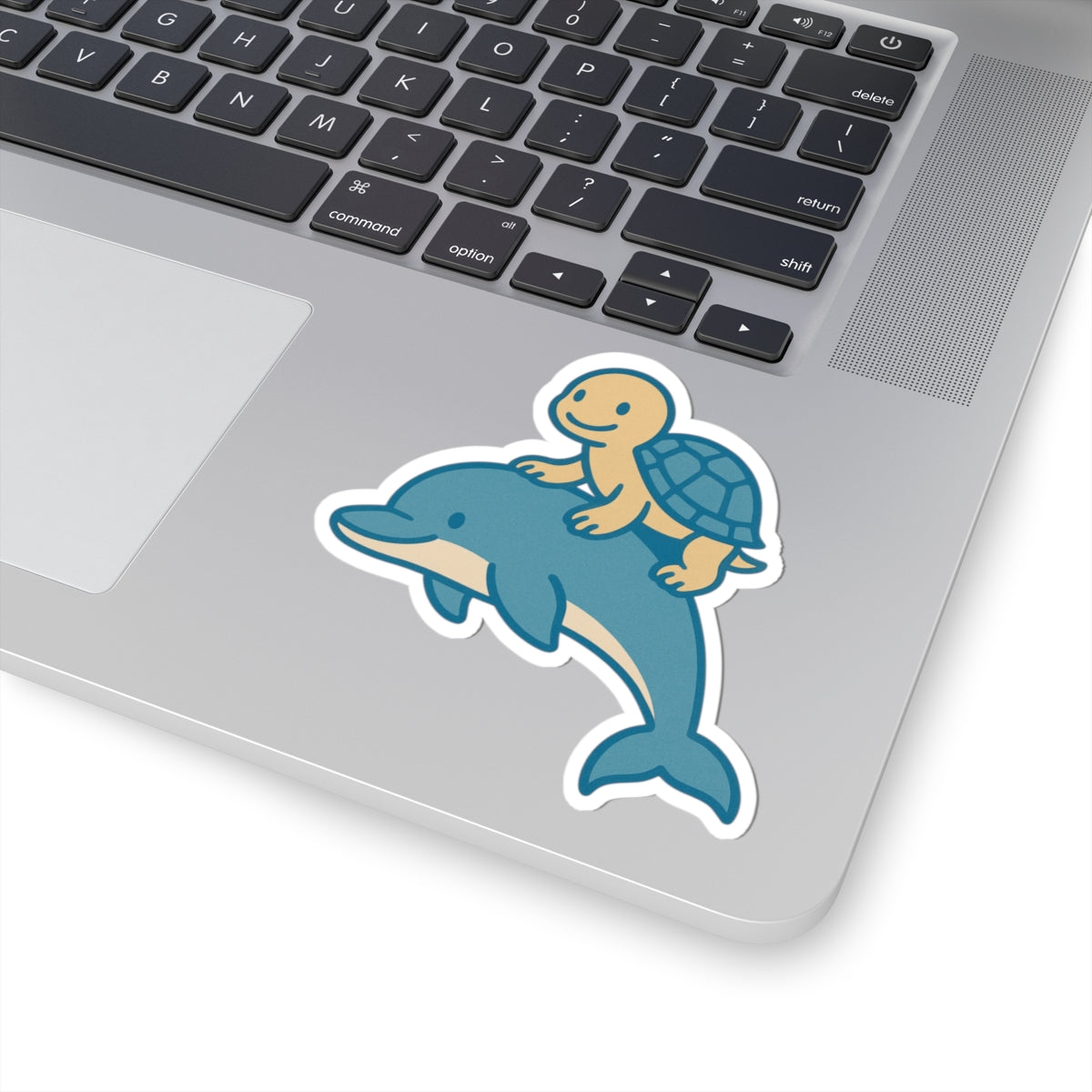 Chill Turtle Riding Dolphin