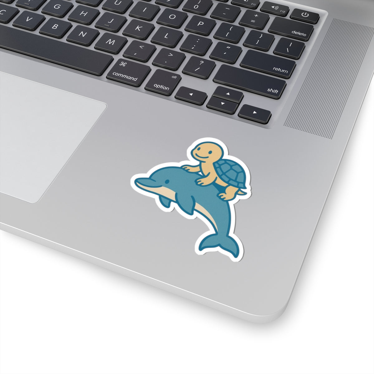 Chill Turtle Riding Dolphin